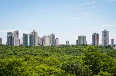 Il Potenziale Cosmetico degli Estratti Lignosi dalle Foreste Urbane