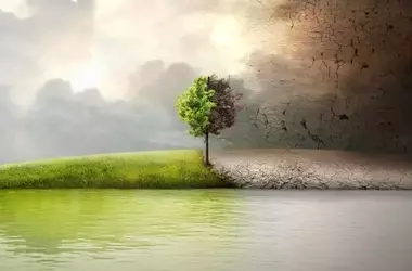 Cinema e Consapevolezza Ambientale: Un Percorso Cinematografico per la Giornata della Terra