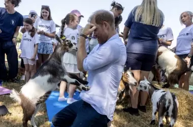 Il Principe Harry e il suo Incontro Inatteso con le Capre: Un Momento di Gioia e Famiglia