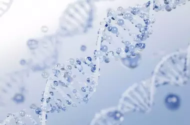 PDRN: L'Innovazione nella Cosmesi Rigenerativa e Anti-Età