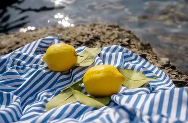 Il Limone: Un Agrume Versatile per Salute e Benessere
