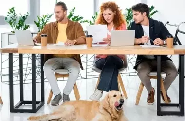 Cani in Ufficio: Un Vantaggio per il Clima Aziendale e il Benessere dei Dipendenti