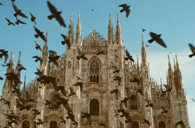 Eventi imperdibili a Milano dal 7 al 13 settembre: musica, cultura e intrattenimento