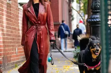 Il Potere Terapeutico del Legame Cane-Umano: Benefici della Dog Therapy per il Benessere Psicofisico