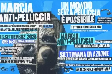 Attivisti in Marcia a Milano Contro l'Uso delle Pellicce nella Moda