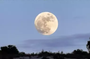Luna Piena del Raccolto: Rituali di Benessere per un Nuova Stagione Astrale