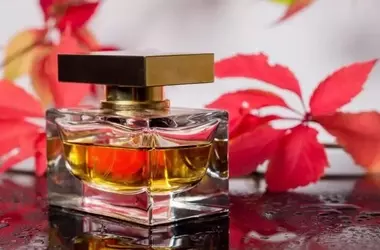 Profumi Autunnali: Essenze che Abbracciano e Incantano