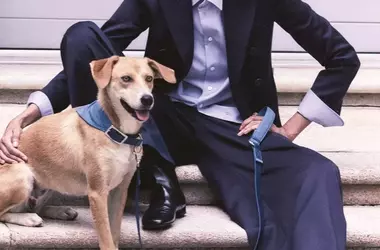 Eleganza Canina: La Nuova Collezione Armani x Poldo Dog Couture per l'Autunno