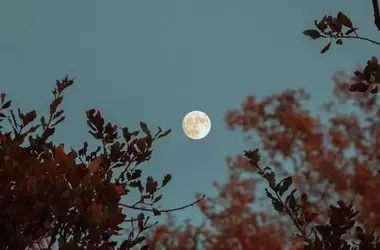 La Luna Piena di Ottobre 2026 e i Suoi Effetti sul Benessere e la Bellezza