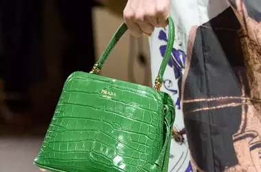 Accessori Imperdibili: Le Borse Stampa Cocco Dominano l'Autunno 2026